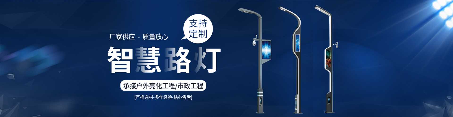 莲池区太阳能路灯定制厂家