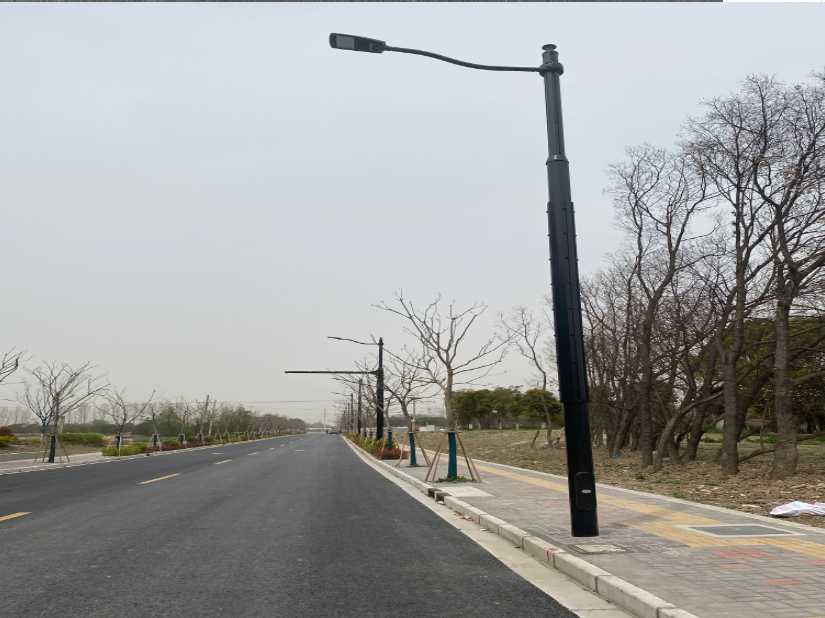 莲池区上海综合杆 太阳能路灯工程